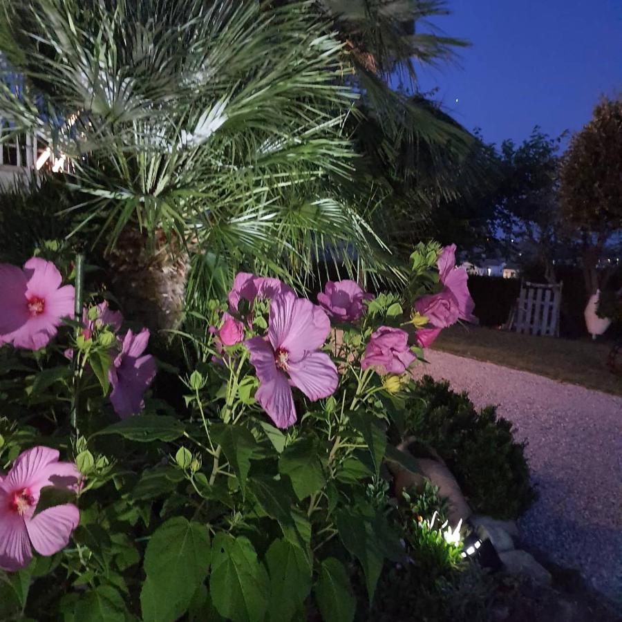 Bnb Fano Collina. La Pace Di Una Vacanza Piagge Exteriör bild