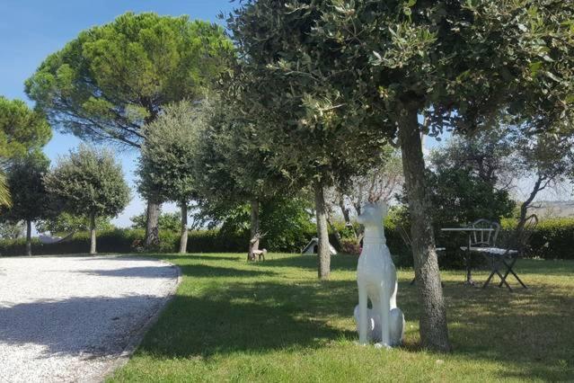 Bnb Fano Collina. La Pace Di Una Vacanza Piagge Exteriör bild