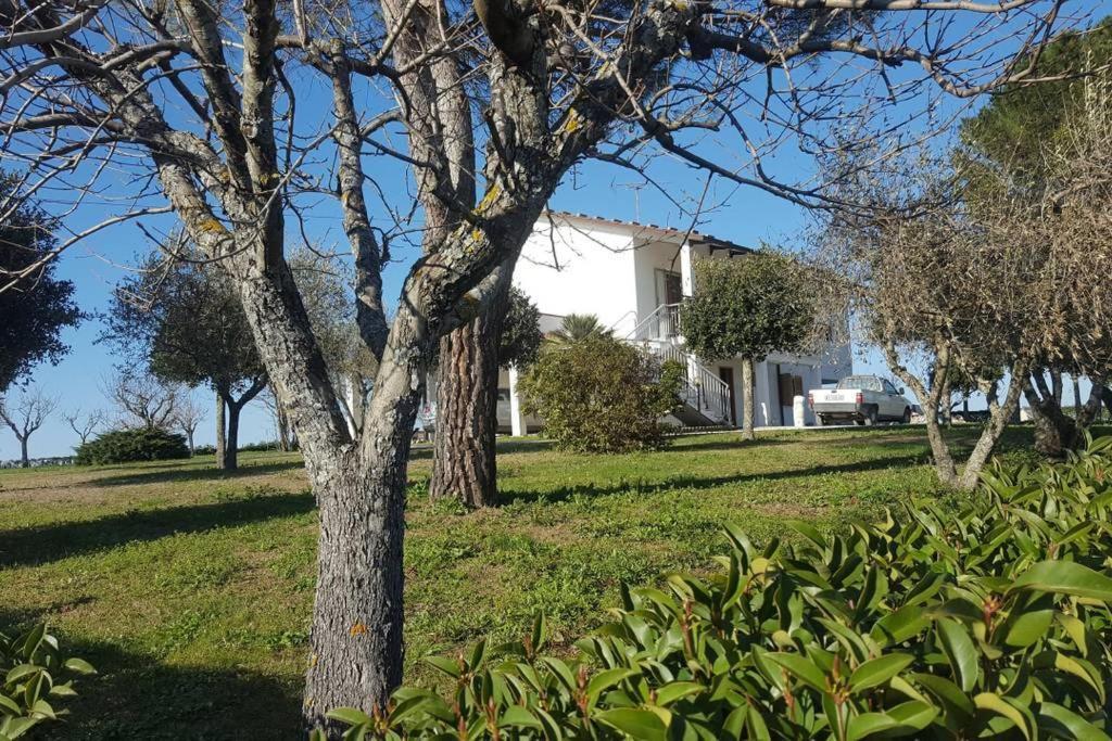 Bnb Fano Collina. La Pace Di Una Vacanza Piagge Exteriör bild
